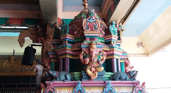 green town home developers